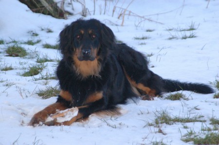 zima 2012